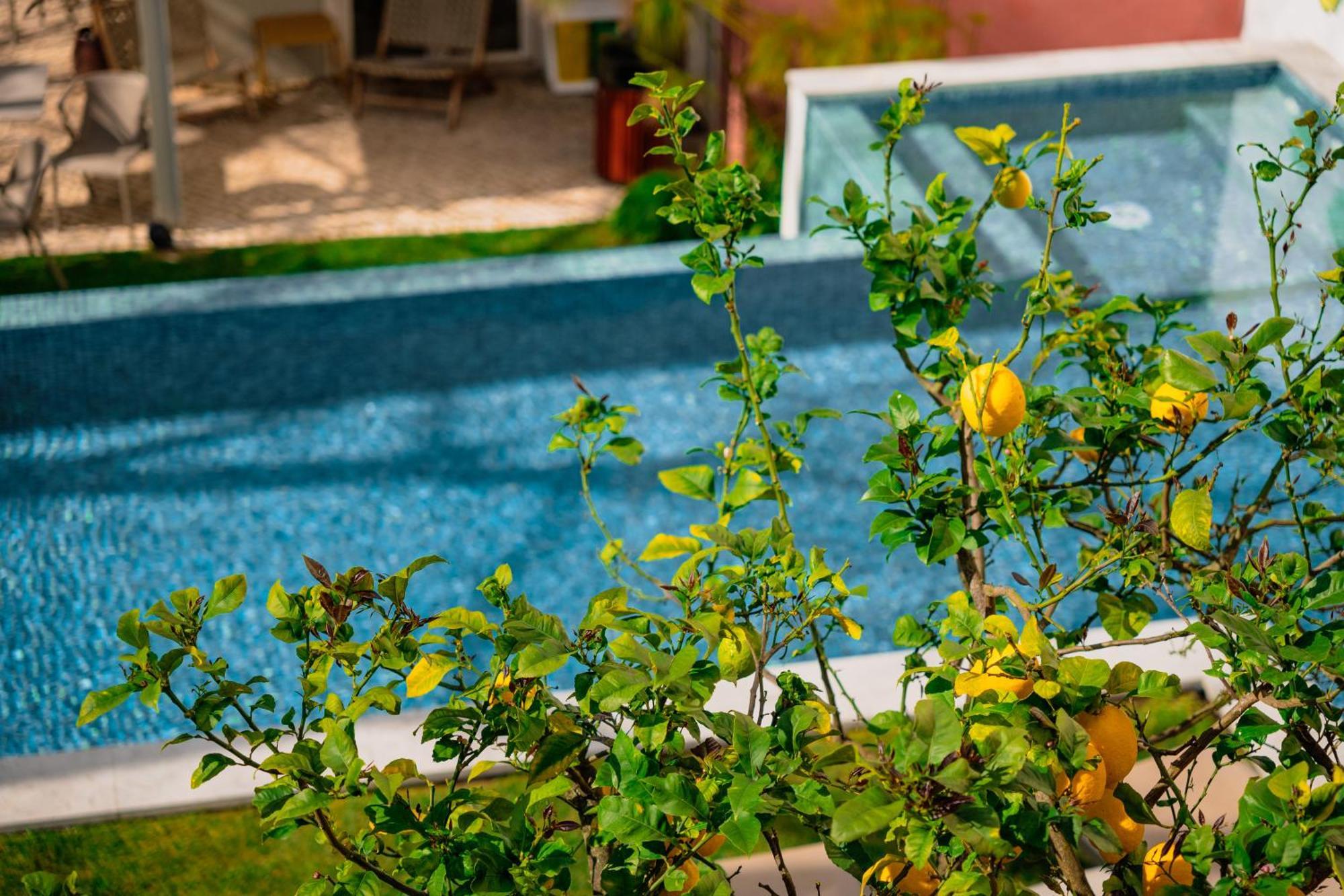 Jardim Da Lapa By Shiadu Hotel Lisabona Exterior foto